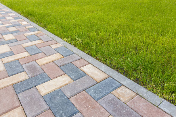 Best Driveway Paving Company  in Winter Park, FL